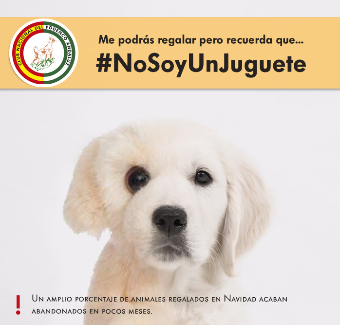 NO SOY UN JUGUETE