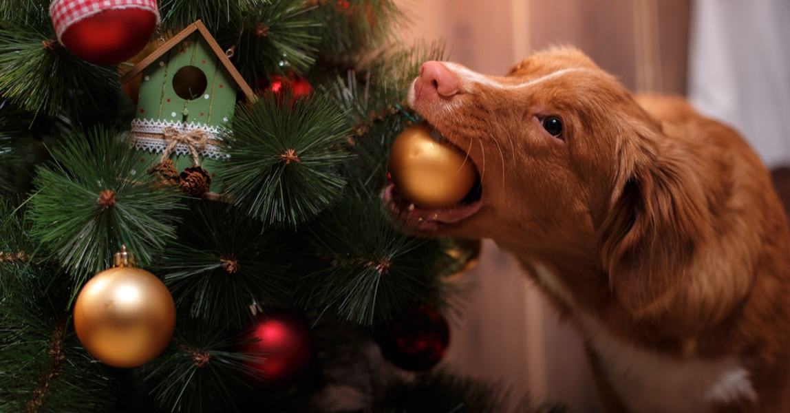 christmastree ornaments min