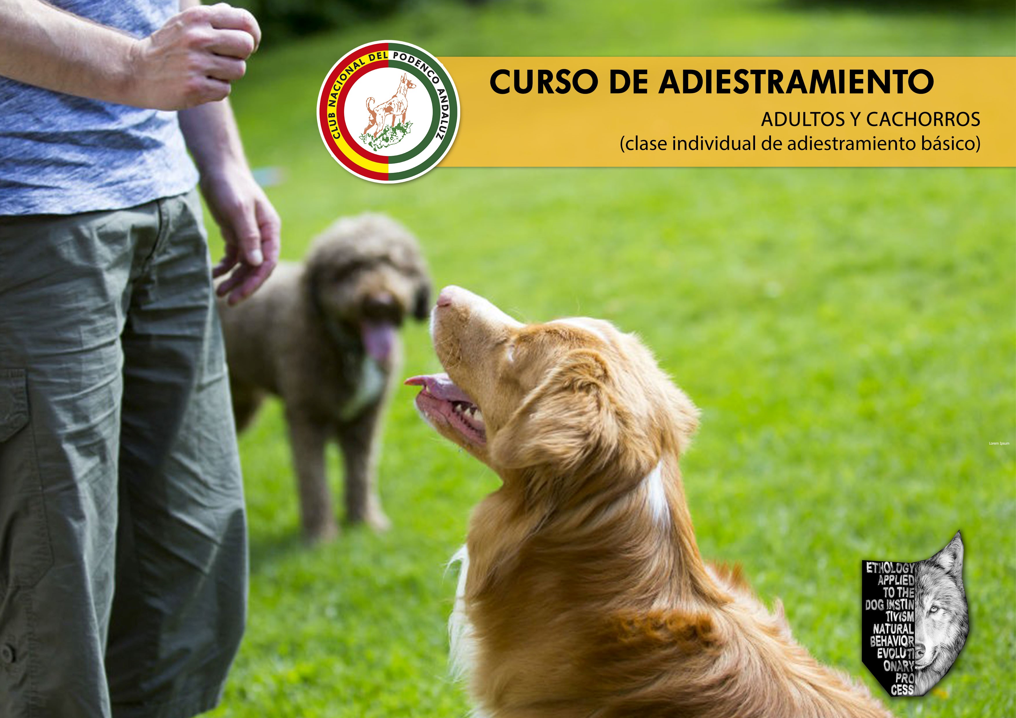 Adiestramiento Canino