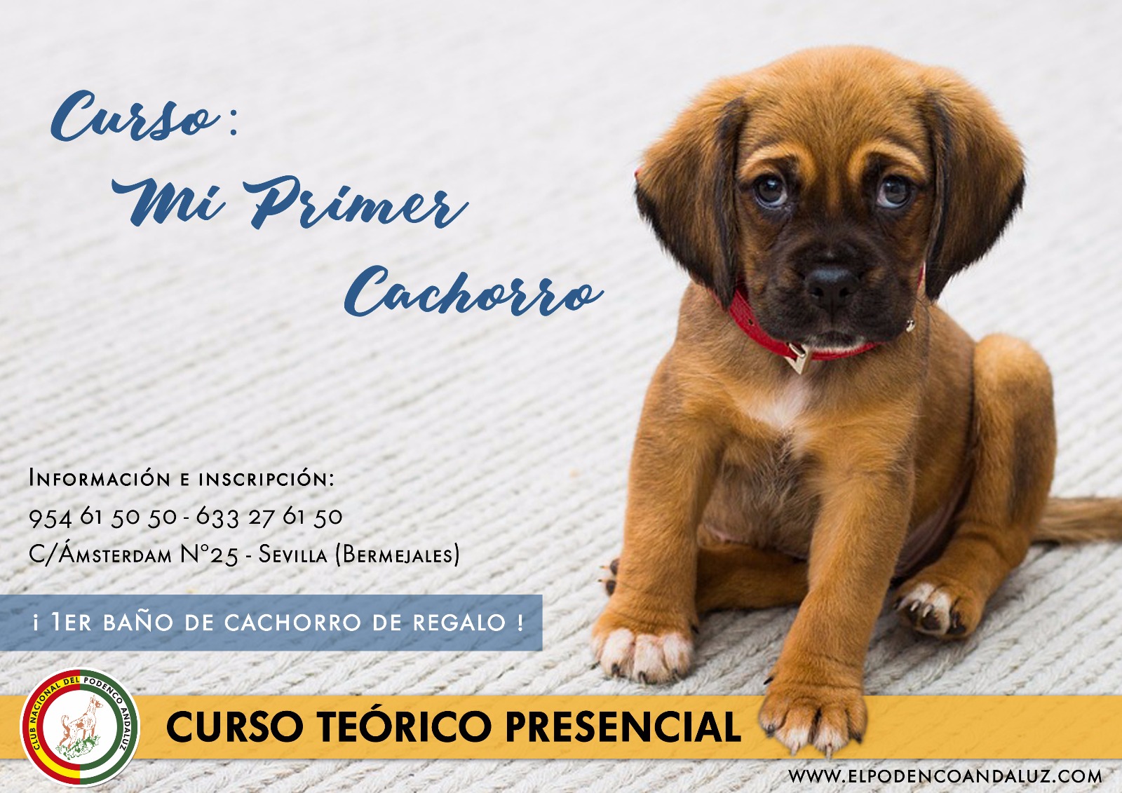 Mi Primer Cachorro
