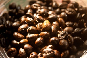 cafeina_perros