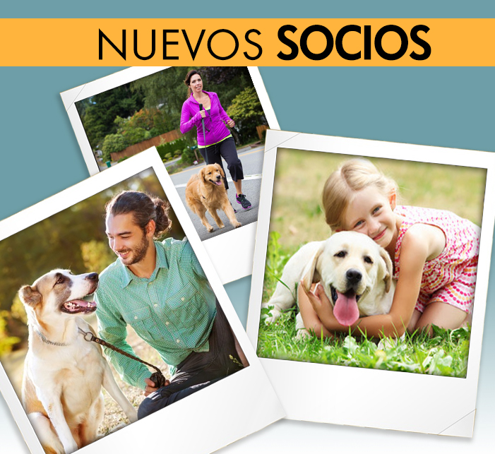nuevos socios