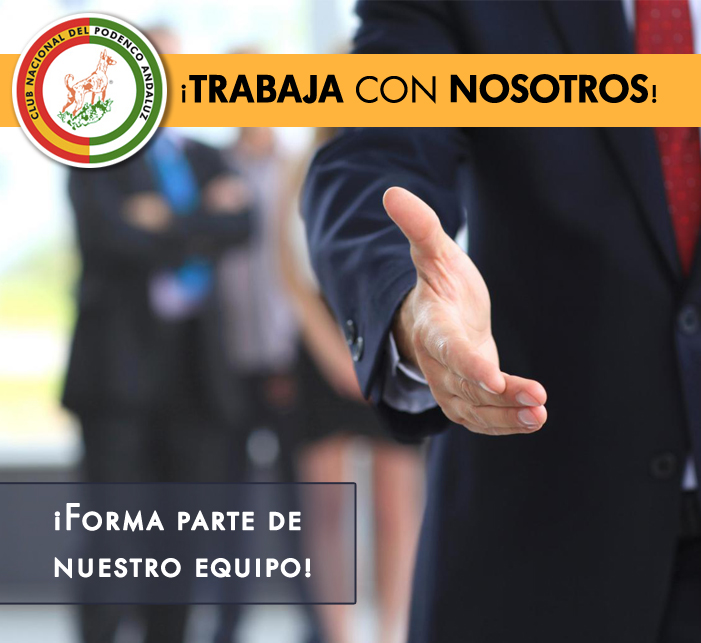 Trabaje con nosotros