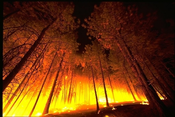 Prevención de Incencios