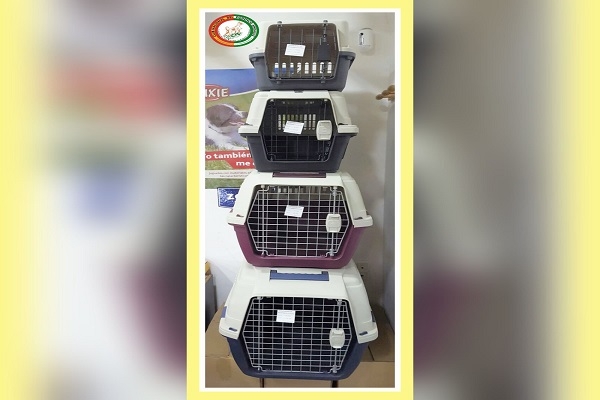 Uso del Transportín para viajar con nuestra mascota